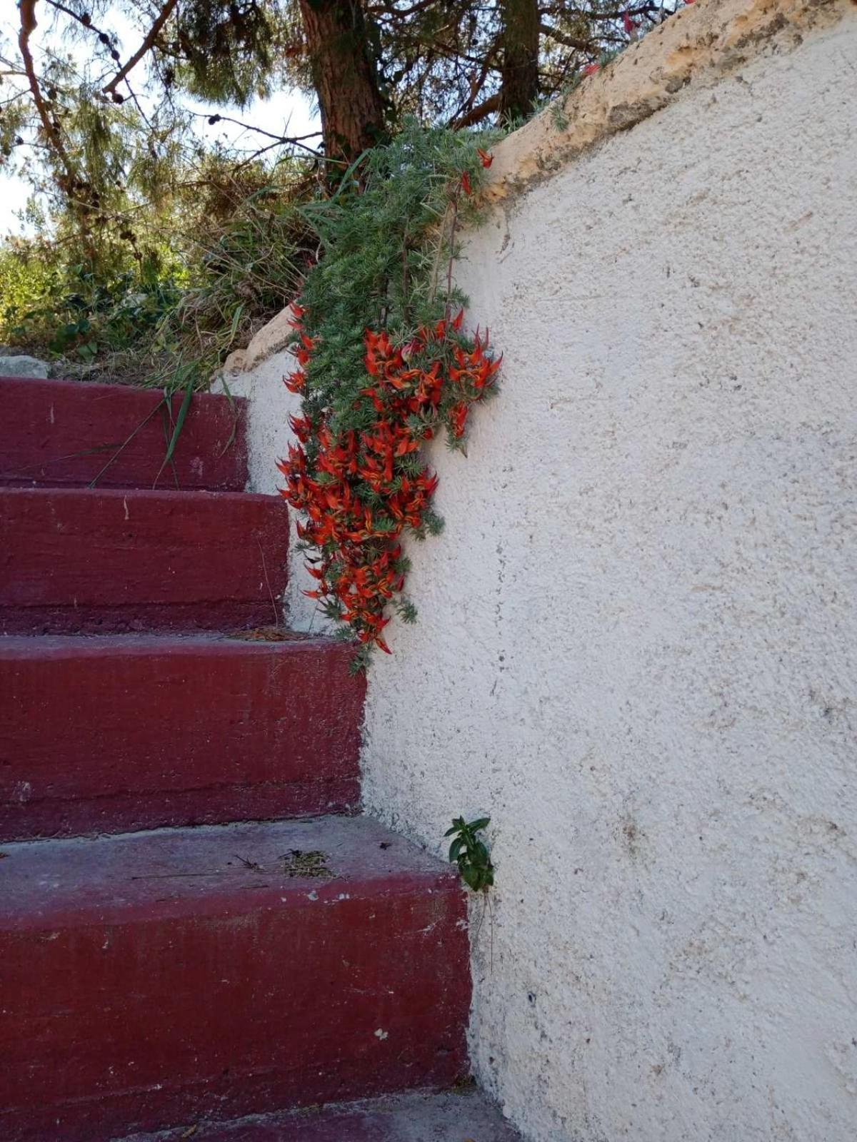 Villa Phyllia, Knossos, Crete Bagian luar foto