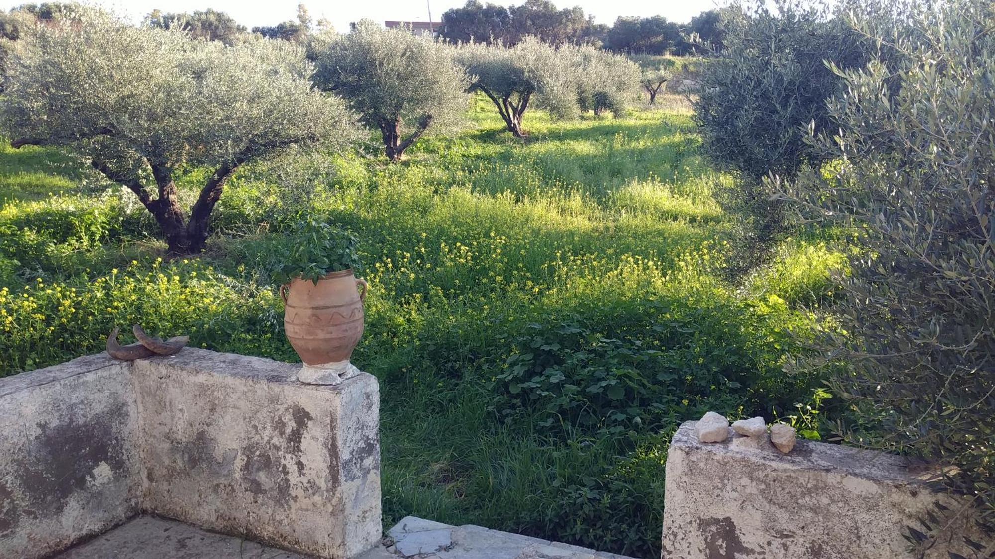 Villa Phyllia, Knossos, Crete Bagian luar foto